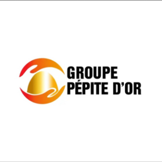 GROUPE PEPITE D'OR AZOWENONGBOYA SARL