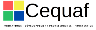 CEQUAF S.A.S