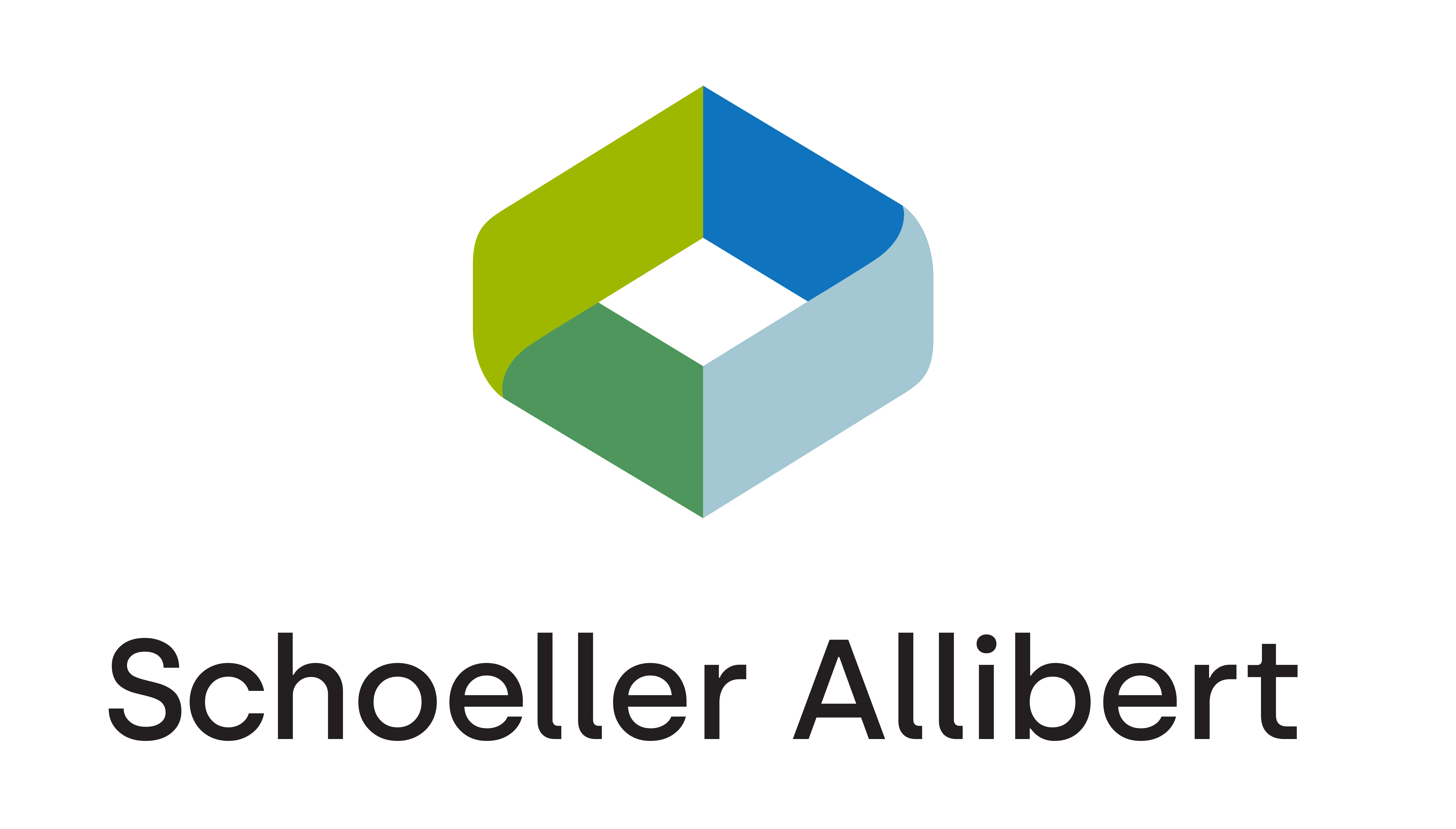 Schoeller Allibert Services B.V.