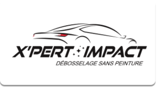 X'PERT IMPACT