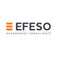 EFESO CONSULTING