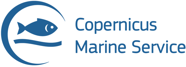 Navigating Ocean Energy Projects  with Copernicus Marine Service Data