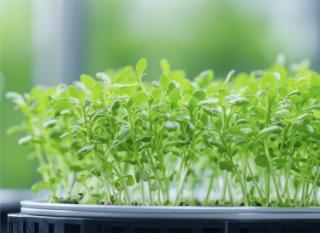 Table-ronde : Innovation des processus et produits