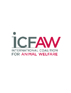 International Coalition for Animal Welfare