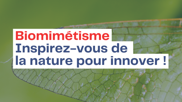 PAROLE D'EXPERT !  Manon Monier - CEEBIOS