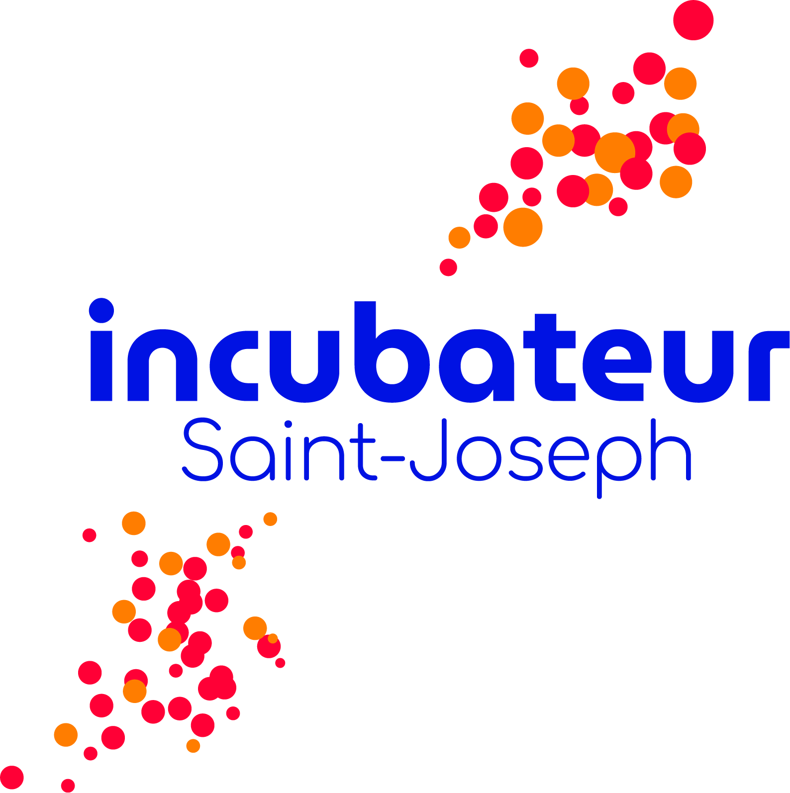 INCUBATEUR SAINT JOSEPH