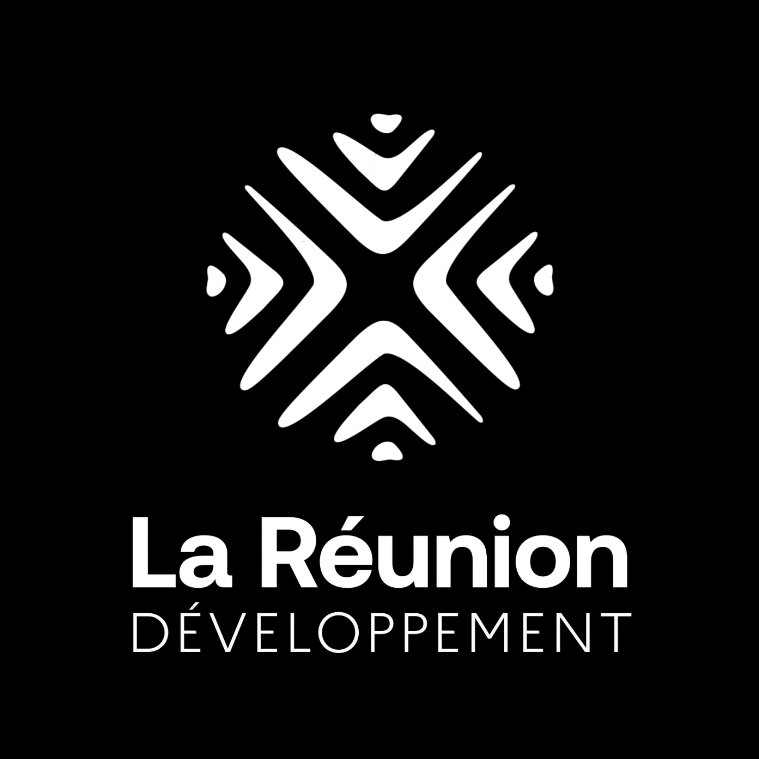 La Réunion Développement
