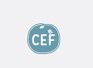 CHINA ECO FIBER