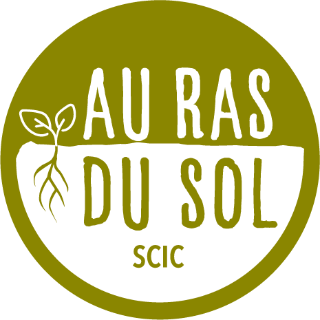 Au ras du sol