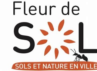 FLEUR DE SOL 