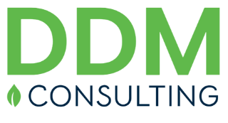 DDM Consulting 