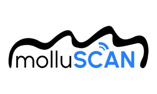 MOLLUSCAN