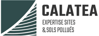 Calatea