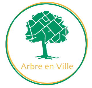 Arbre en ville