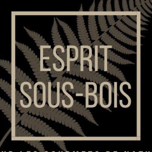 ESPRIT SOUS-BOIS