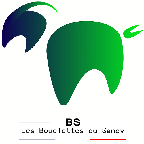 LES BOUCLETTES DU SANCY