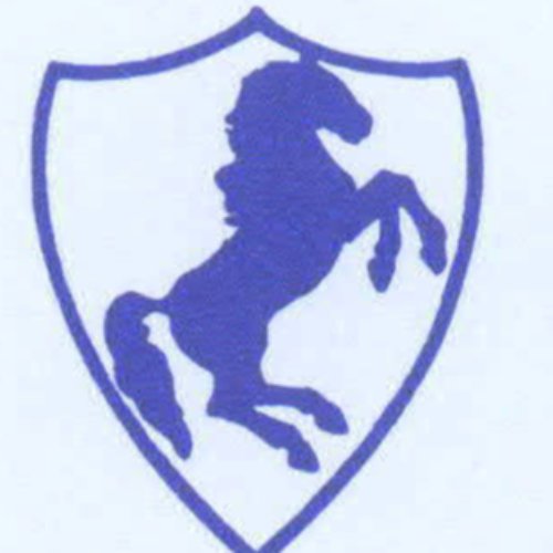 Cavalleri