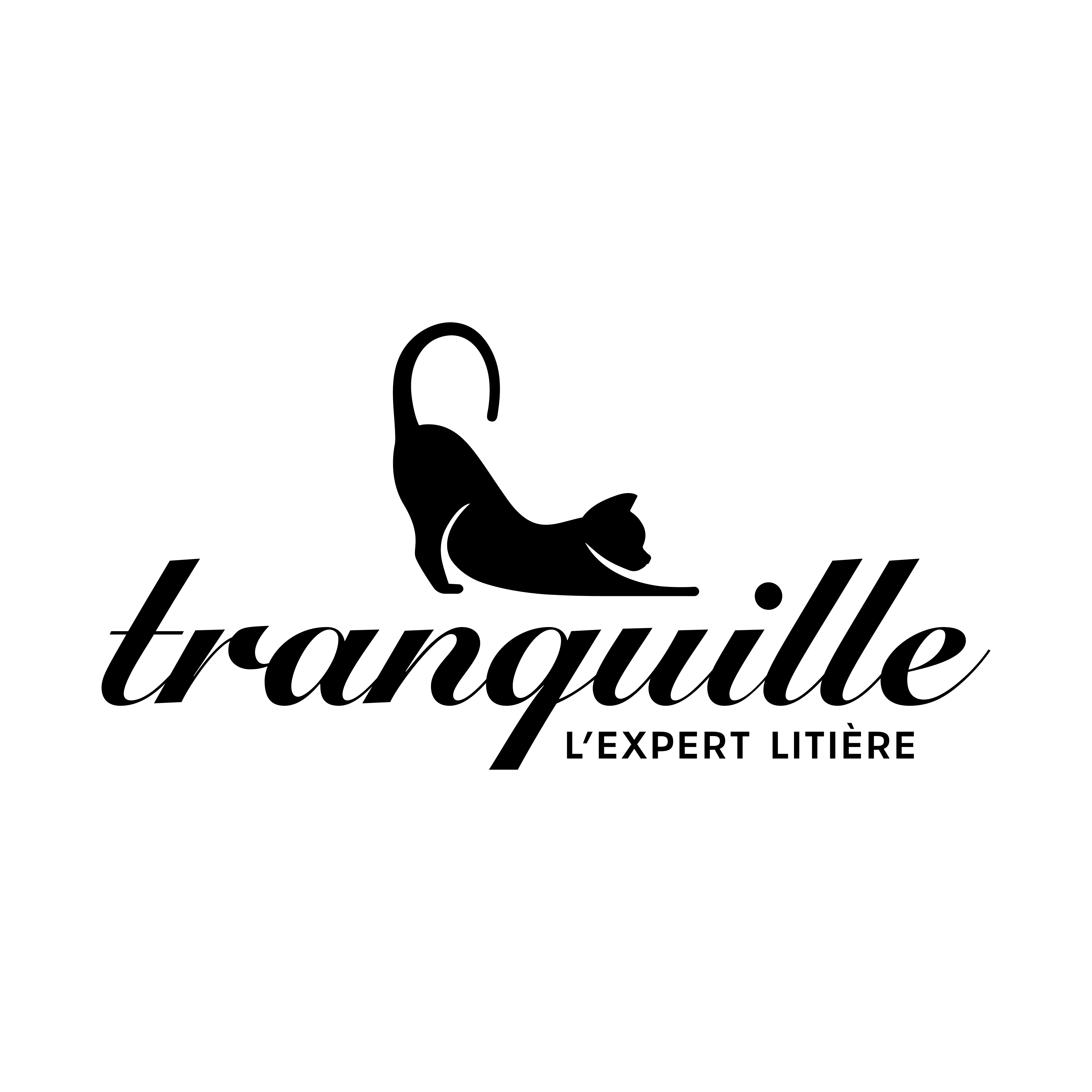 TERDIS