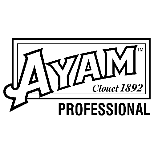 AYAM PROFESSIONAL