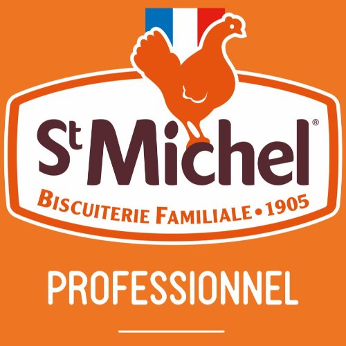 ST MICHEL PROFESSIONNEL