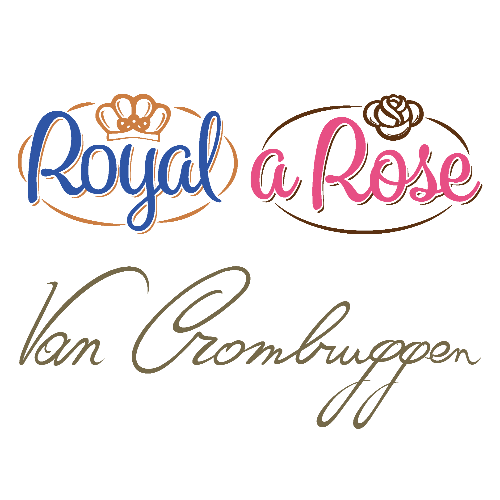 VAN CROMBRUGGEN NV