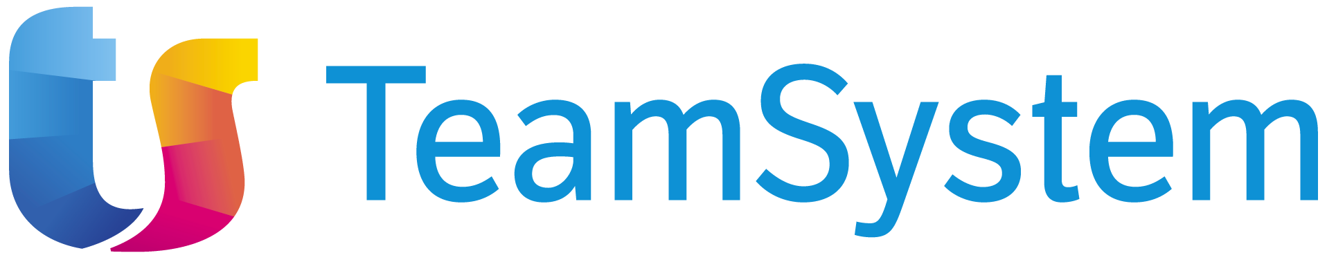 TEAM SYSTEM