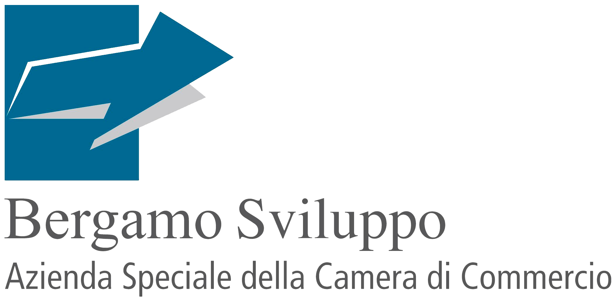 BERGAMO SVILUPPO