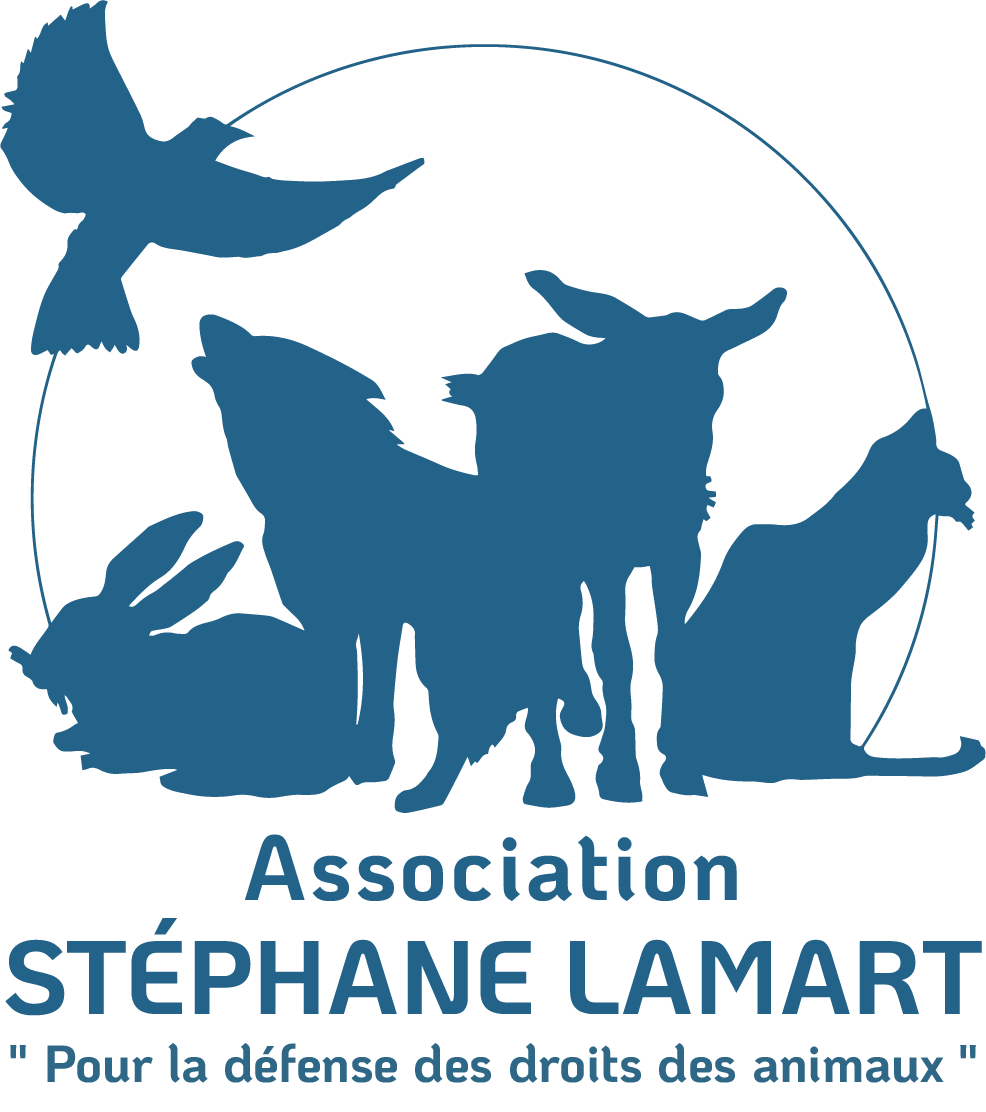 ASSOCIATION STEPHANE LAMART