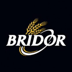 BRIDOR