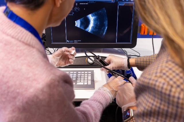 Lab Imagerie : échographie B