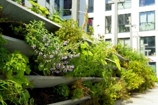 Session 2 | Mainstreaming adaptation across economic sectors and society: the role of National Adaptation Plans 