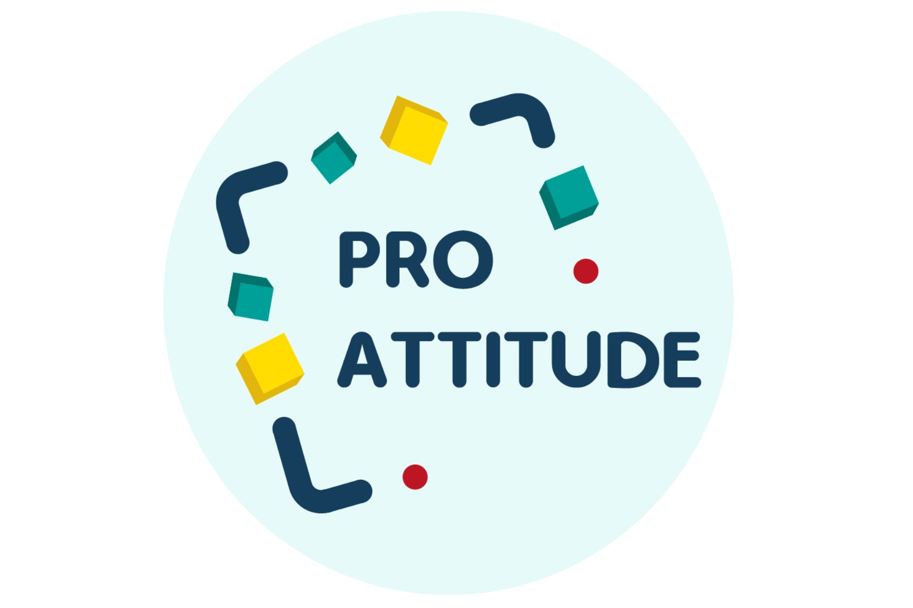 PRO ATTITUDE