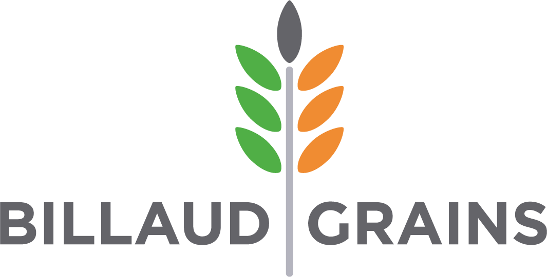 BILLAUD GRAINS