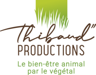 THIBAUD PRODUCTIONS