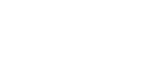RENAULT SAS