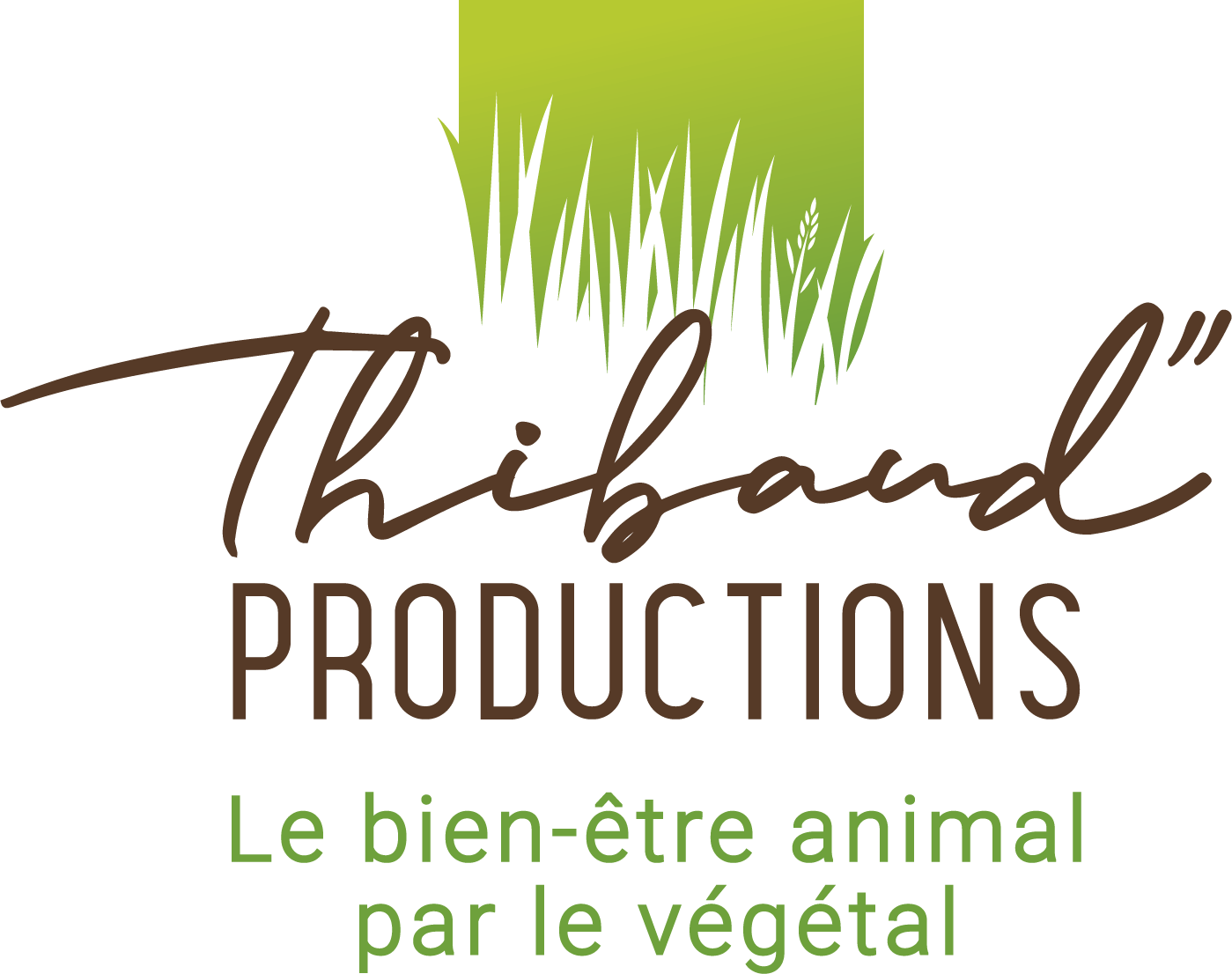 THIBAUD PRODUCTIONS