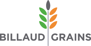 BILLAUD GRAINS