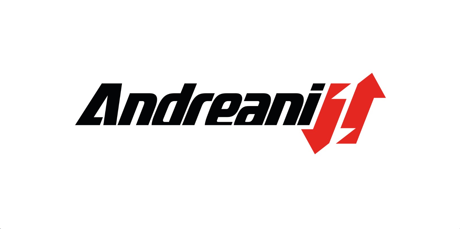 ANDREANI GROUP