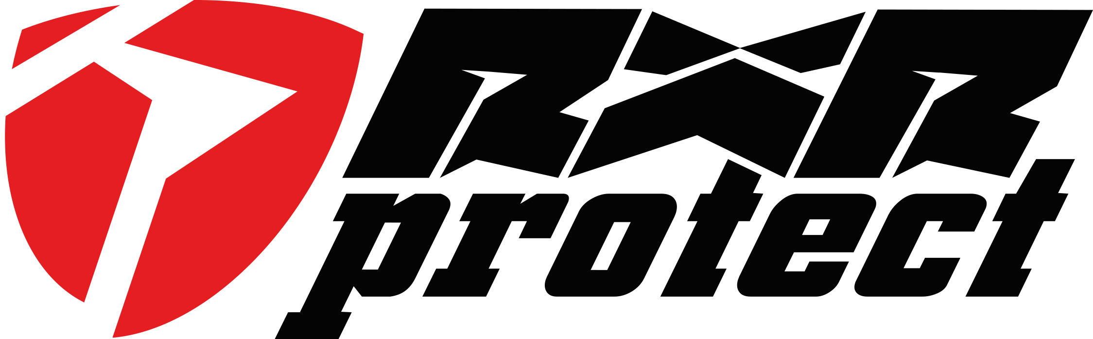 RXR PROTECT