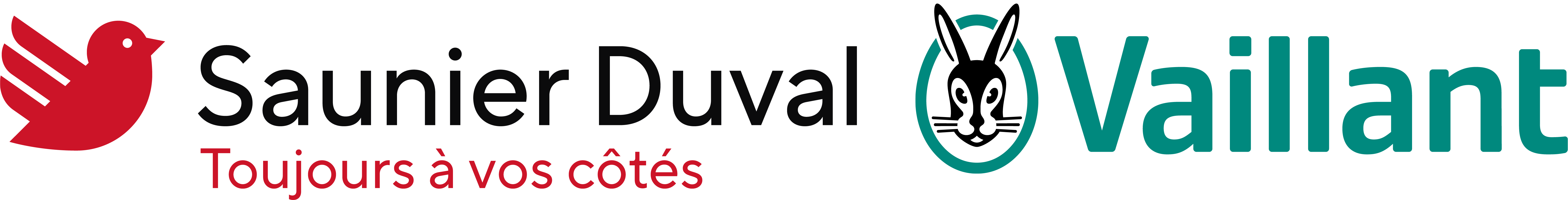 SDECC (SAUNIER DUVAL - VAILLANT)