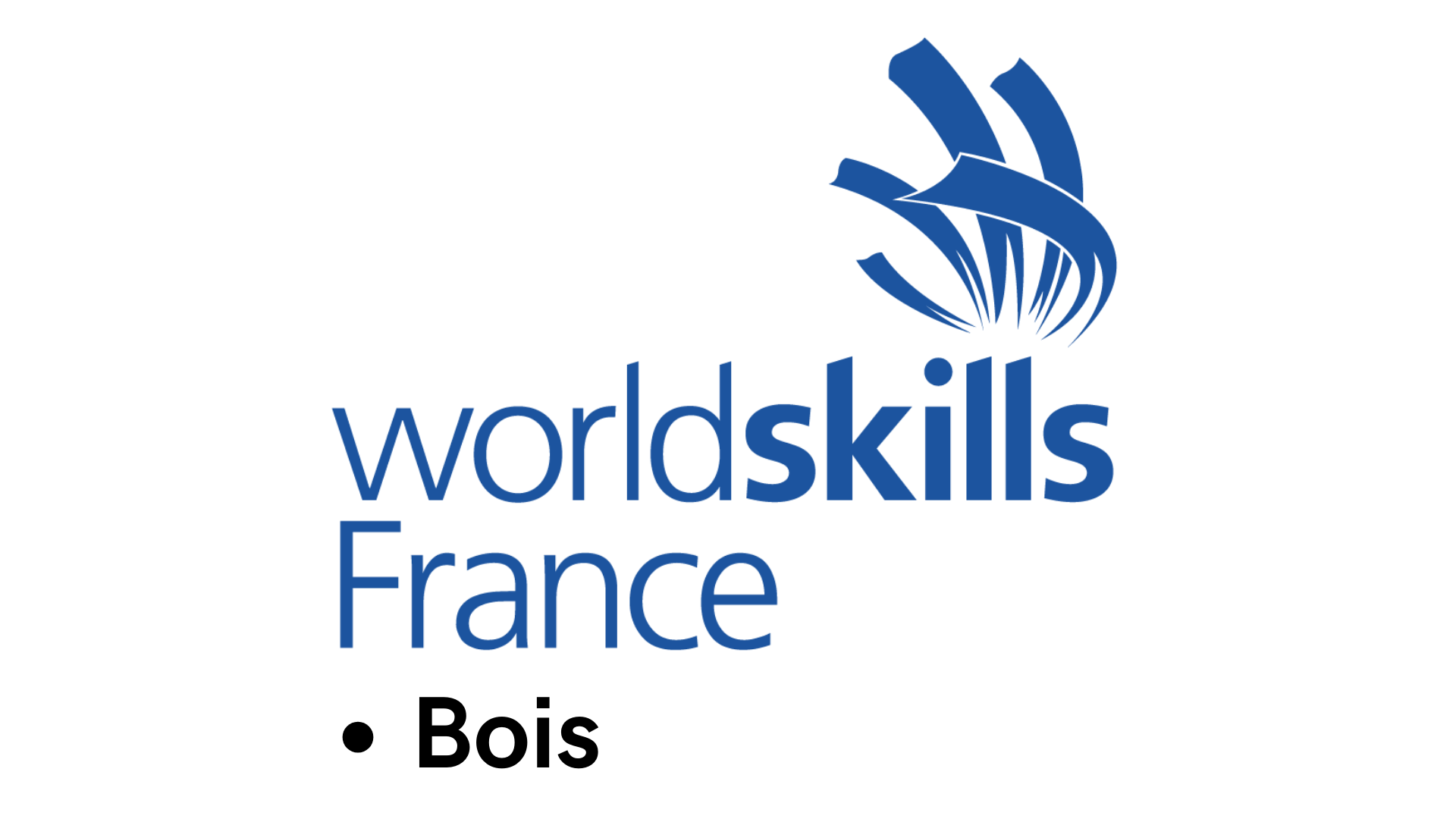 WORLDSKILLS BOIS