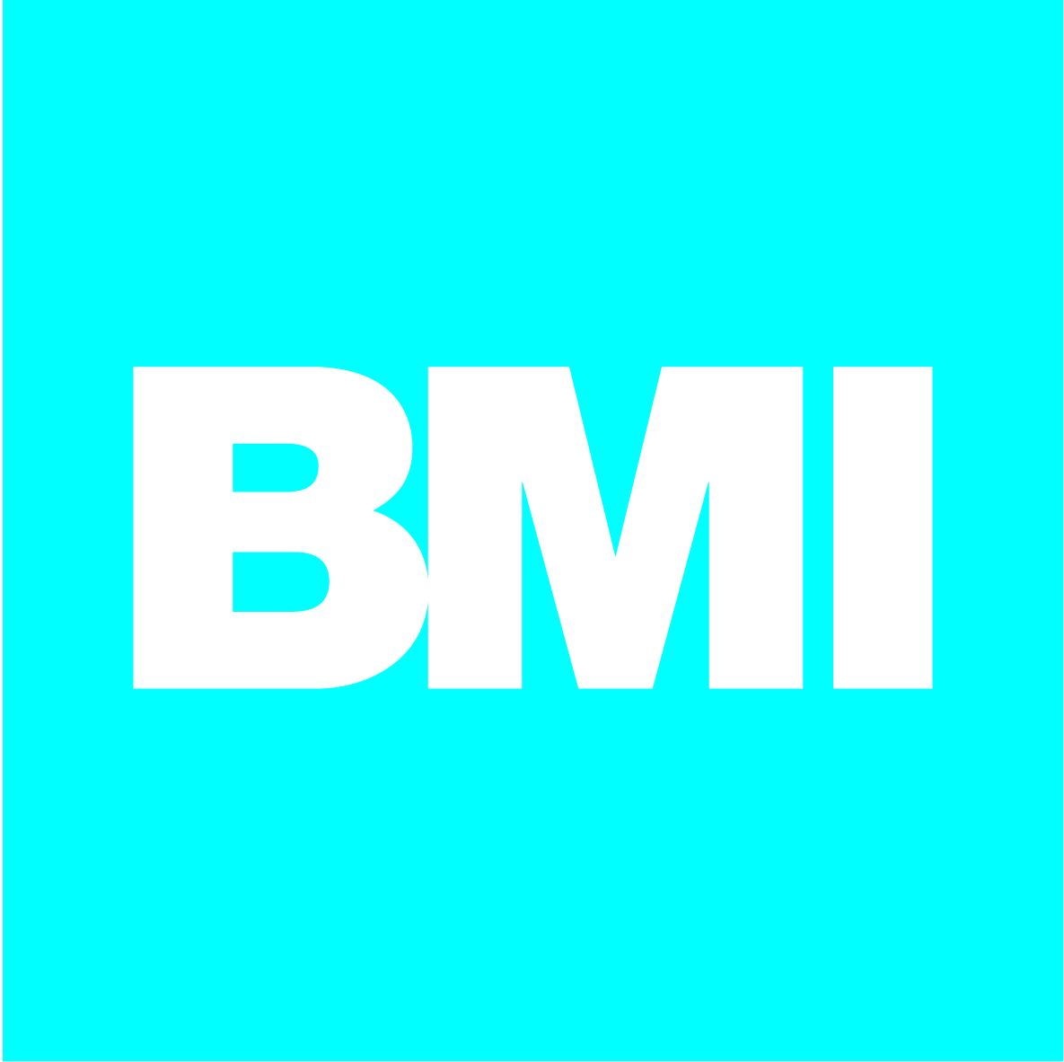 BMI GROUP FRANCE