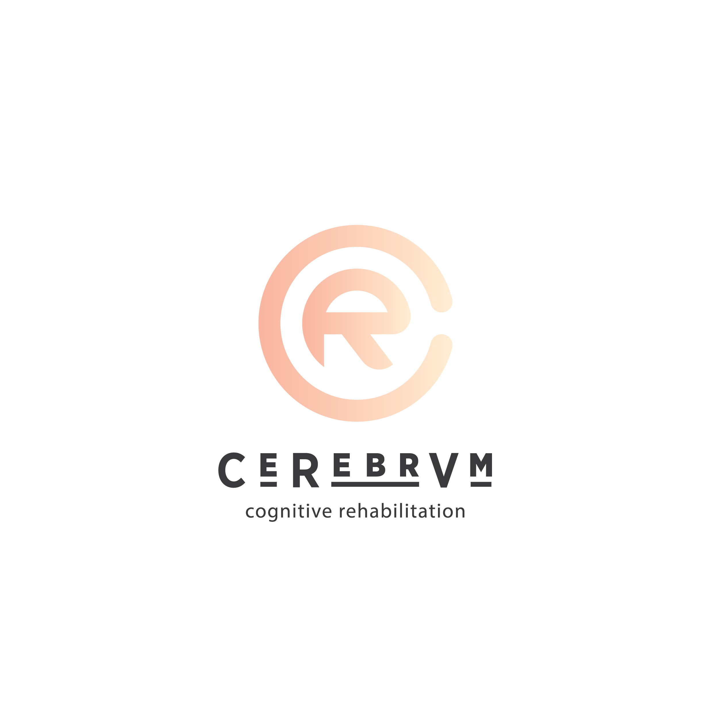 Cerebrum VR Srl