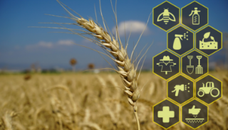 Controverse #1 :  Alimentation de qualité pour tous et agriculture compétitive : compatible ou antagoniste ?
