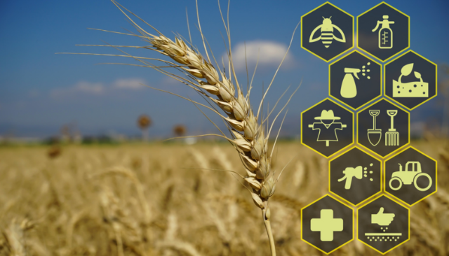 Controverse #1 :  Alimentation de qualité pour tous et agriculture compétitive : compatible ou antagoniste ?