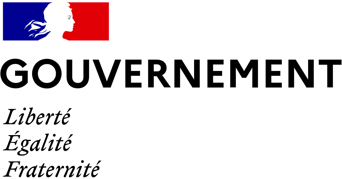 GOUVERNEMENT (France)
