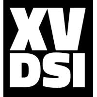 le XV DSI
