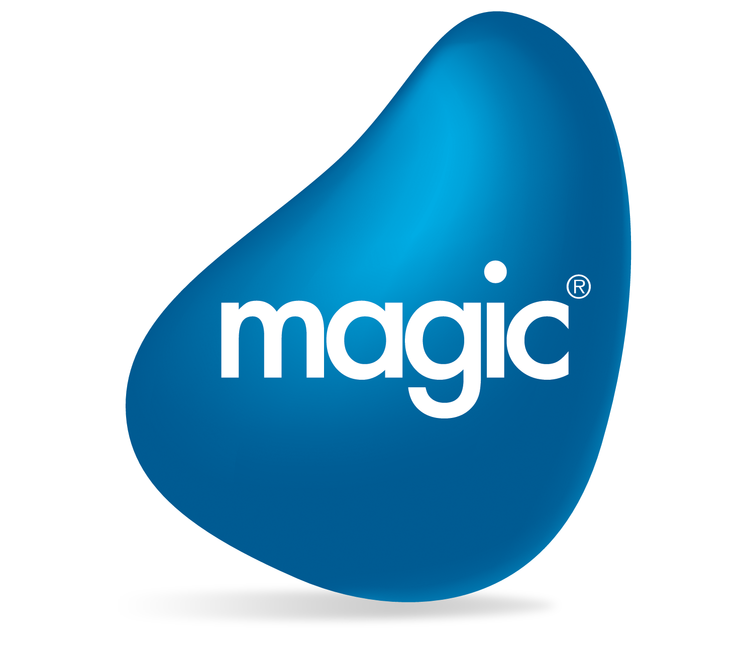 Magic Software France