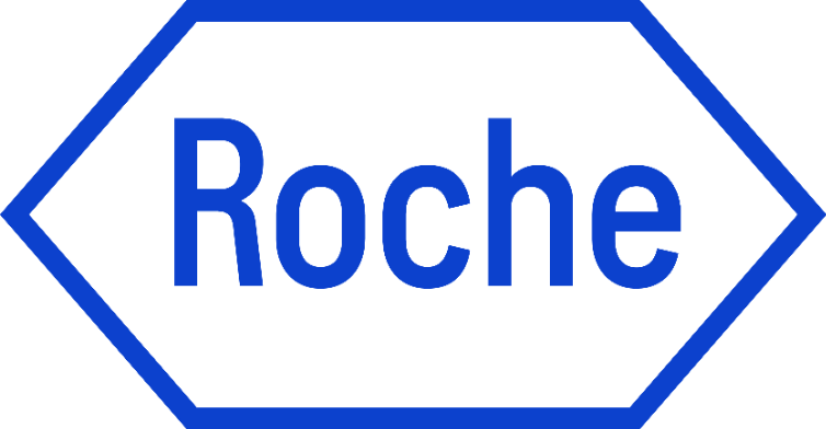 ROCHE DIAGNOSTICS FRANCE