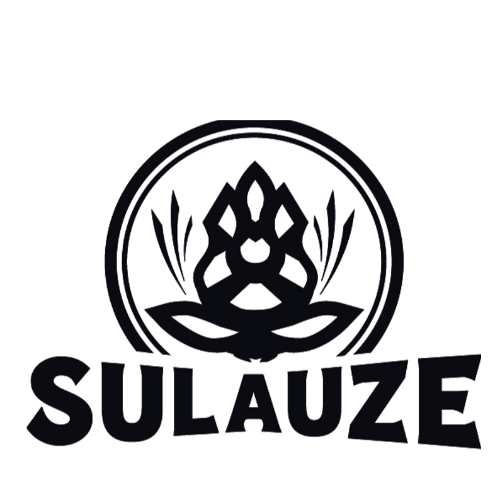 BRASSERIE DE SULAUZE